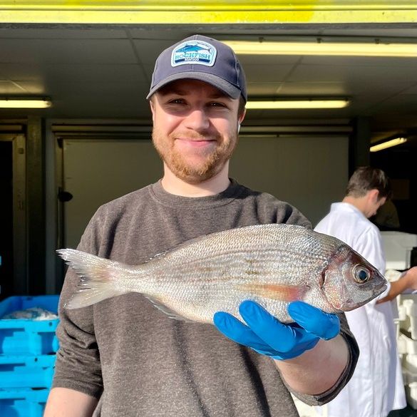 Beautiful sea bream 🐟️⁠
⁠
Watch out for this gorgeous fish on our new winter menu AND on the Online Seafood Market.⁠
⁠
It's wonderful simply grilled with olive oil, lemon and a little sea salt.