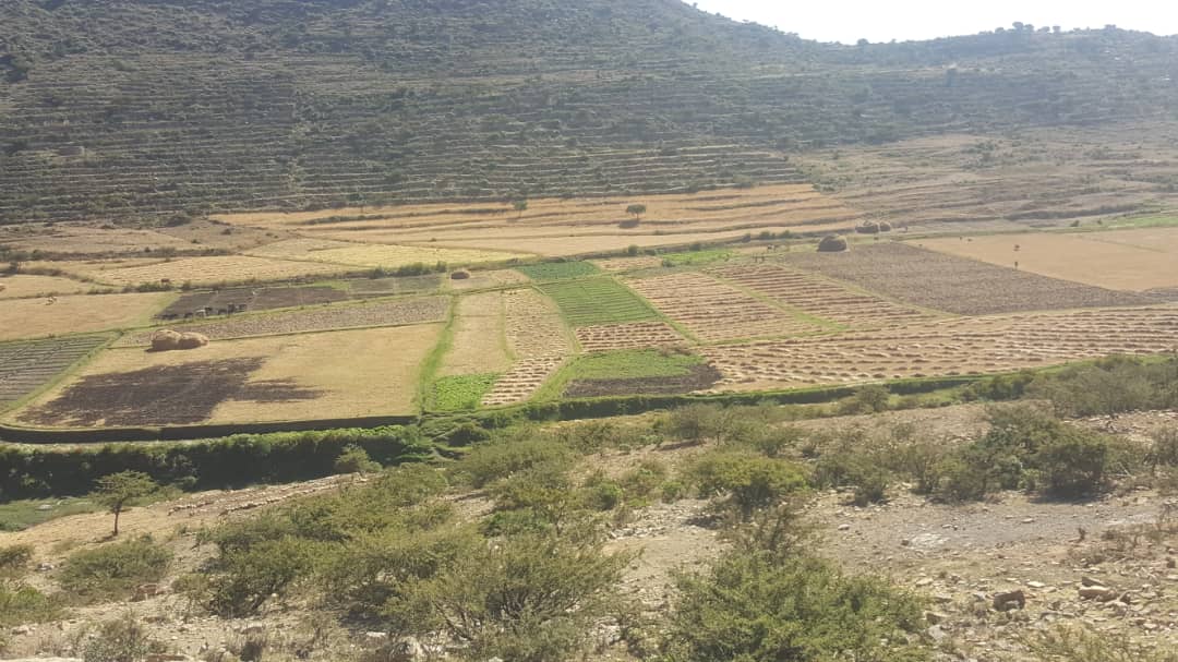 Goyteom37's tweet photo. Yesterday, delegates of @BMZ_Bund, @GerEmbAddis, @giz_gmbh, @KfW_FZ_int @KfW_int (KfW Development Bank) visited #Didba of #Enderta District to review the Project activities of #SLMP, #ISFM & #PSNP. The field visit was fruitful & had a good discussion with Tigray BoANR. https://t.co/V6A9HrfNsf