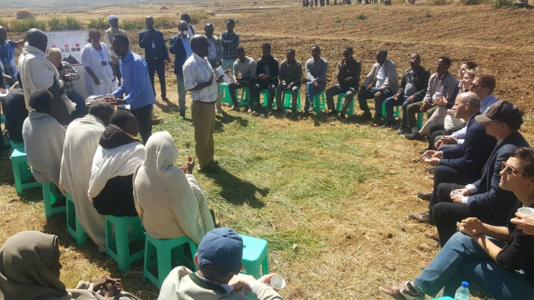 Goyteom37's tweet photo. Yesterday, delegates of @BMZ_Bund, @GerEmbAddis, @giz_gmbh, @KfW_FZ_int @KfW_int (KfW Development Bank) visited #Didba of #Enderta District to review the Project activities of #SLMP, #ISFM & #PSNP. The field visit was fruitful & had a good discussion with Tigray BoANR. https://t.co/V6A9HrfNsf