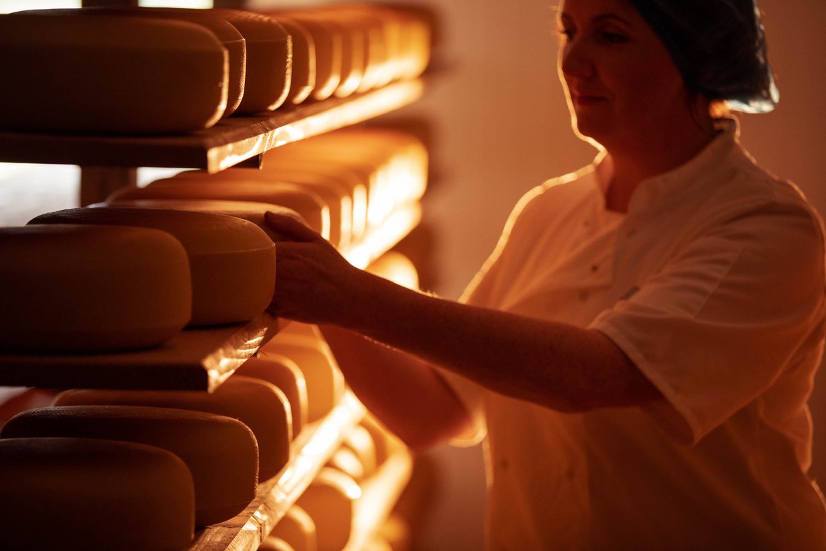 Bó Rua Farm (@boruafarm) on Twitter photo 🤞 Crossing our fingers! Bó Rua Farm is excited to be a finalist in tonight's FBD Better Farming Awards, in the Small Sustainable Food Producer of the Year category! 🌟🧀🏆 #DairyFarmer #FarmhouseCheese 🐄 Best of luck to all the finalists! <a href="/feigherysfarm/">Feigherys Farm</a> <a href="/Ballykilcavan/">Ballykilcavan</a> 🤞 Crossing our fingers! Bó Rua Farm is excited to be a finalist in tonight's FBD Better Farming Awards, in the Small Sustainable Food Producer of the Year category! 🌟🧀🏆 #DairyFarmer #FarmhouseCheese 🐄 Best of luck to all the finalists! <a href="/feigherysfarm/">Feigherys Farm</a> <a href="/Ballykilcavan/">Ballykilcavan</a>