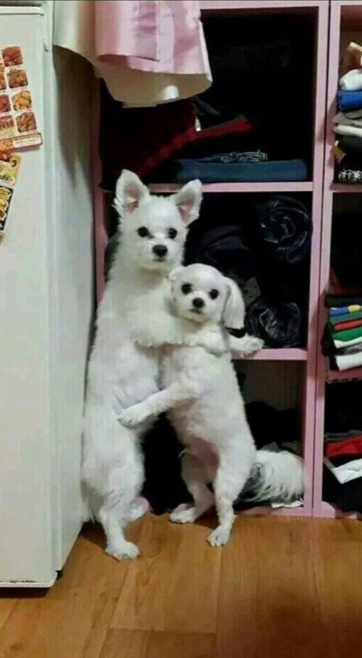 짝사 (@secretcruu) on Twitter photo 