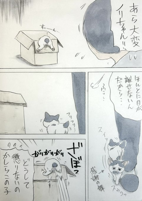 まいにちノリ吉 にごたろ さんのマンガ ツイコミ(仮)