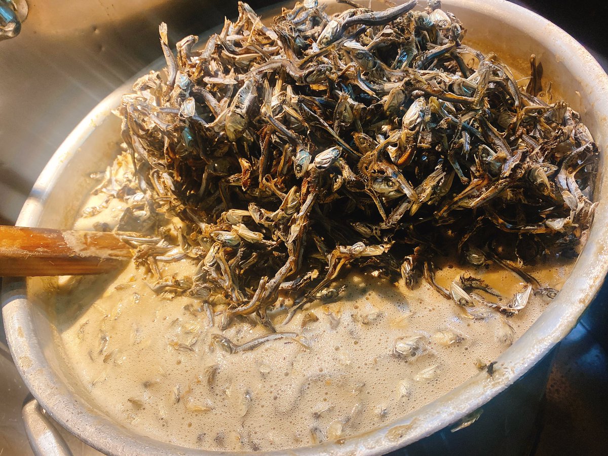 2bosi_spice's tweet photo. 明日6時30分より営業致します

☆厳選煮干ソバ　開店から50杯

☆自信のハヤシライス
カレーはお休みしますm(_ _)m
継ぎ足し継ぎ足しのデミグラスを是非！←何屋？

☆明��子ソースの和え玉

レギュラーメニューも◎

明日も自信あります https://t.co/w5d99Wvjvy