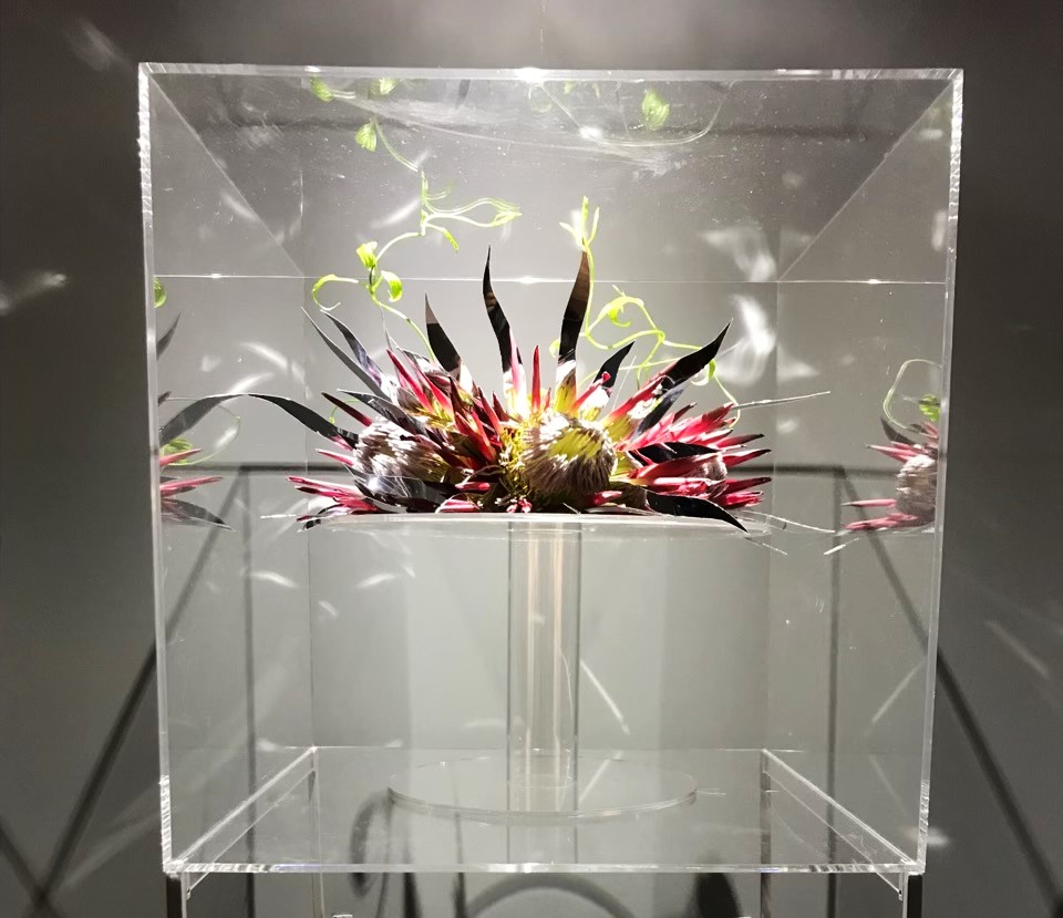 studioharu1's tweet photo. 先日ご依頼いただいた花器🌸
キングプロテアと利休草を生けていただきこのようになりました～🩷アクリルにも色々な使い方があるんだなぁ～芸術って素晴らしい☺️ https://t.co/7RxVmyzsAB