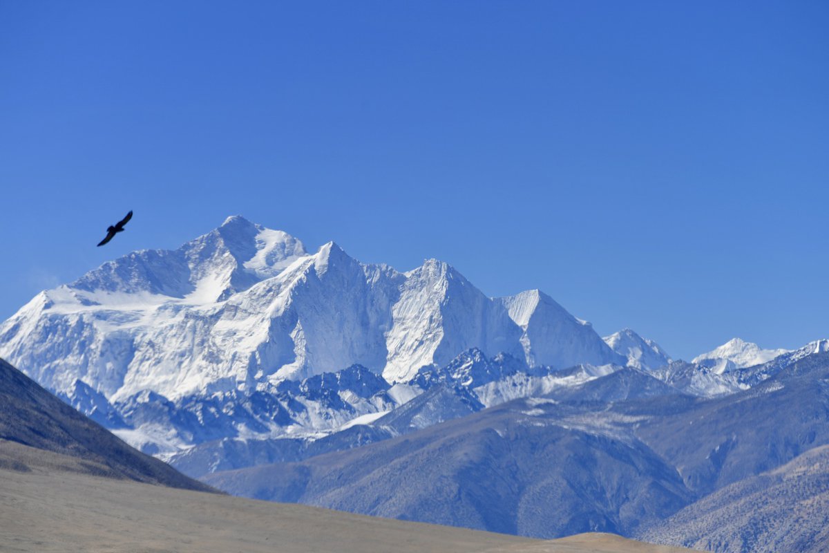 ShanghaiEye's tweet image. Despite losing his sight completely at 21, Zhang Hong in 2021 summited Mount ⛰️#Qomolangma to become Asia&apos;s first blind climber to scale the world&apos;s highest peak.
