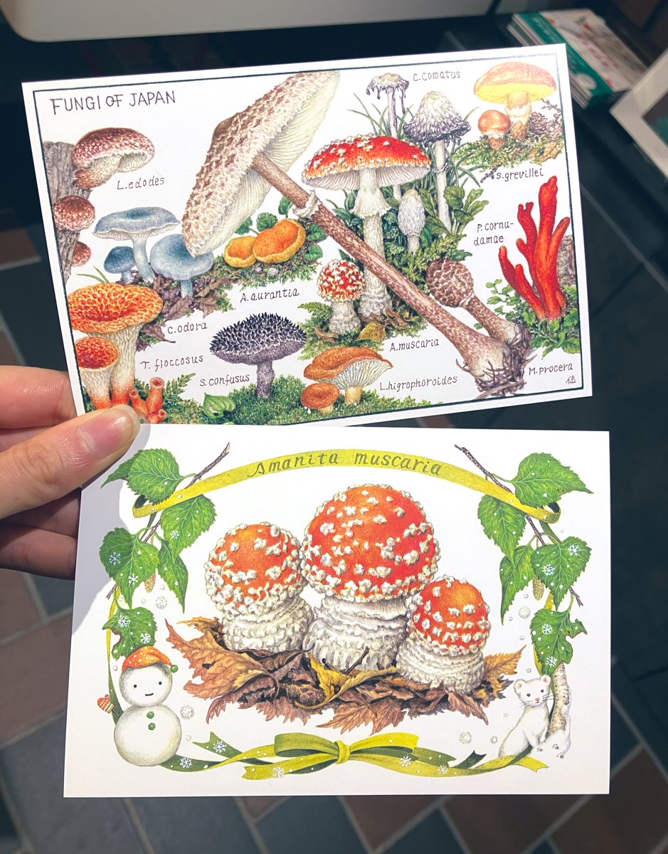 いのちをうつす ―菌類、植物、動物、人間」 出展作家・小林路子さんの