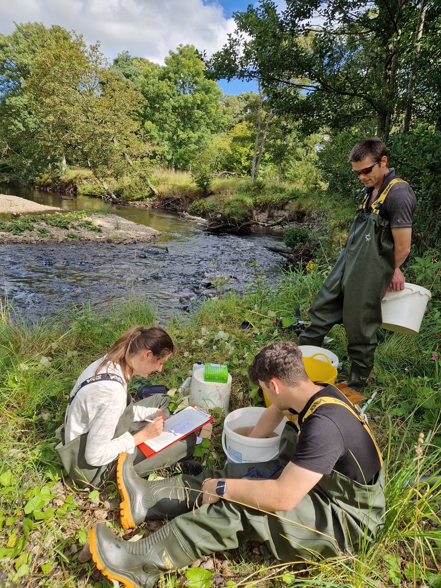 Our latest progress report is available on our website: fnlrt.org.uk/documents/. The FNLRT team have had an extremely busy year working on a variety of projects to further our aims of research, education, conservation and restoration of our river catchments.