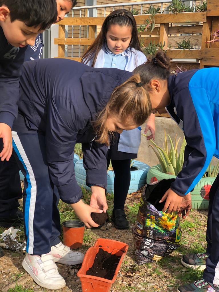 escolapiasSE's tweet photo. ¡Por fin jueves! ¿Te apuntas a los talleres de los recreos? Compañerismo y convivencia se dan la mano en el taller de jardinería 👨‍🌾 🪴

 #321Despierta #HagamosECOescolapias #Escolapiassantaengracia #primaria #patiosinclusivos #recreando https://t.co/VKkBk8uORi
