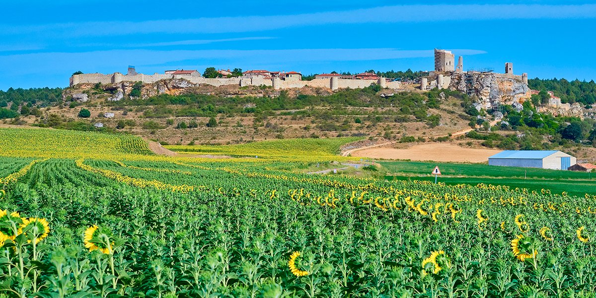 EspanaEnLatam's tweet image. #Calatañazor no solo te enamorará por sus calles y arquitectura, pues además está rodeado de naturaleza. 😍

Piérdete por sus bosques y campos de flores en los meses de primavera y verano... 🤗 ¡Te encantará!

👉 bit.ly/49e1yhL

#VisitSpain #SpainRuralTourism @CyLEsVida
