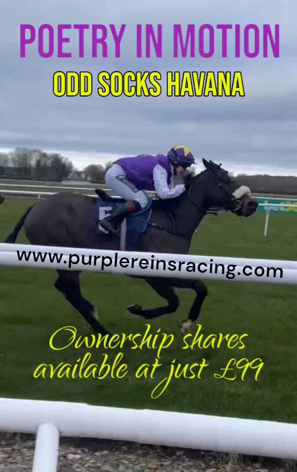 OddSocksHavana's tweet image. Like Minded Racing Friends love Odd Socks. This was him in action doing raising money at @WetherbyRaces yesterday in a charity race. 
Cannot wait for his next race at @NewcastleRaces on 8th Dec followed by Open Day at @RebeccaEMenzies  #multiplewinner #syndicate #HorseRacing