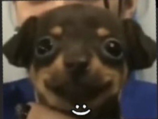 XLabOldAcc tweet picture