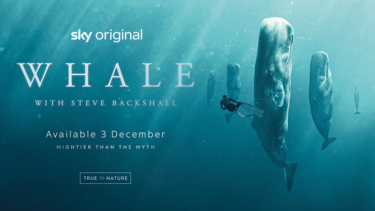 ellen_husain's tweet image. 'WHALE - With Steve Backshall' is coming! 

Treat yourself to an immersive &amp;amp; heartening deep dive into the world of whales and dolphins. Stream all Eps Sunday 3rd Dec on Sky Nature &amp;amp; Now TV

Massive team effort -huge thanks to all - near &amp;amp; far!
#whale #SteveBackshall #SkyNature