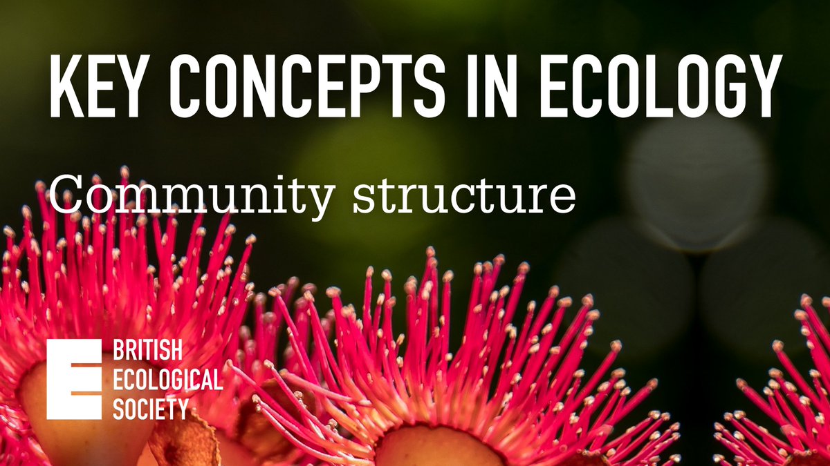 Introducing Key Concepts in Ecology: Reading lists &amp; introductions to help learn the key topics in #ecology! 📖 

This installment covers 'community structure': defined by the number of #species &amp; their abundance in the #community 
🔗jecologyblog.com/2023/11/29/key…
