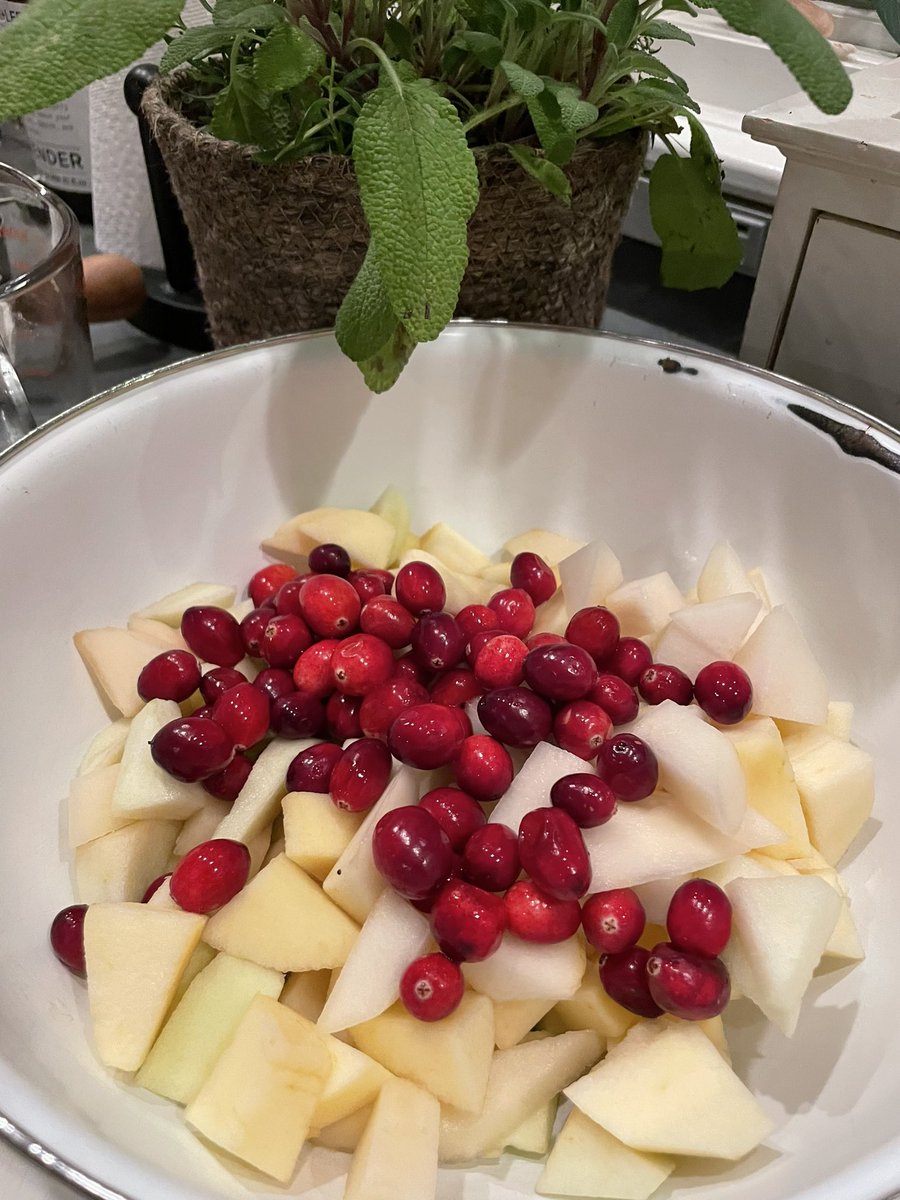 Winter Fruit Pie for #pieclub this month

thekitchenmagpie.com/winter-fruit-p…