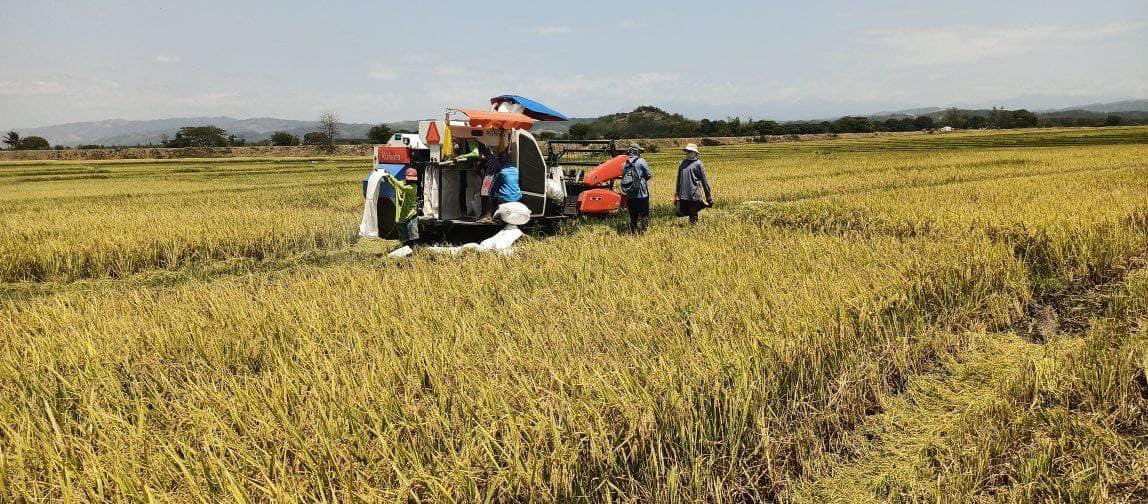 brentmp_'s tweet photo. Farm land for sale!

📍San Filipe, Llanera, Nueva Ecija
11.9 Hectares 
1,750,000 per hectare (Negotiable) 
✔️ Irrigation 
✔️ Access to highway 
CLEAN TITLE
PM for inquires

#nuevaecija #llanera #farmlandph #palayan
#palay https://t.co/bF6nKxoyzg