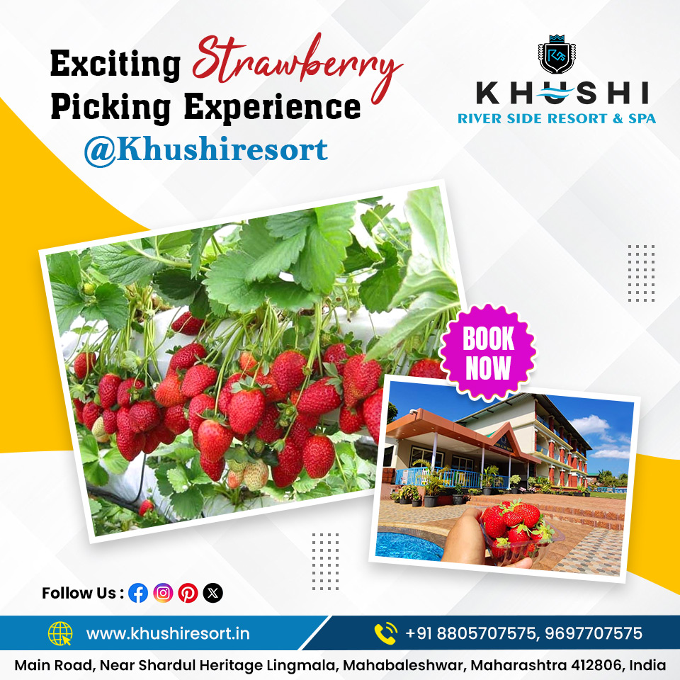 Khushi Resort offers a delightful and unforgettable strawberry picking experience that goes beyond the ordinary. 

☎️ 9697707575

#KhushiResort #MahabaleshwarRetreat #LuxuryGetaway #Mahabaleshwar #TravelMaharashtra #MaharashtraResorts #StrawberryFields #ResortLife #BerryBliss