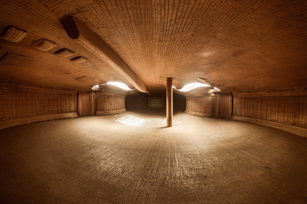 Inside a violin, photographed with a <a href="/storzmedical/">STORZ MEDICAL</a> endoscope adapted to a <a href="/LumixUSA/">LUMIX Cameras USA</a> G9ii camera.
This was a test shot on a modern instrument - In a few weeks I'll be photographing a Guarneri, Amati, and Gofriller from the inside!

#WhereLumixGoes #violin #classicalmusic #lumixnz