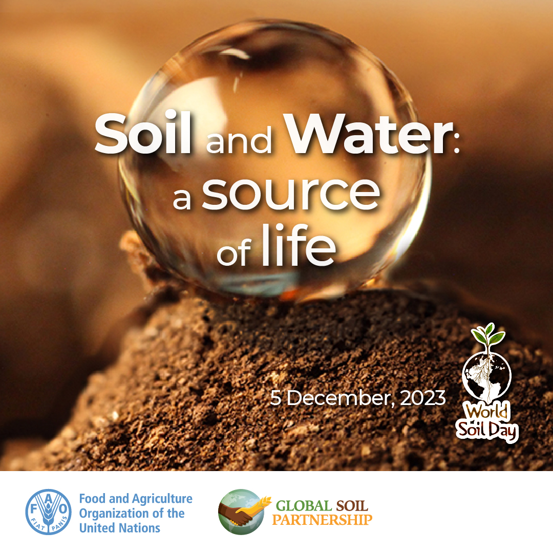 Its World Soil Day 🥳

Let's celebrate the vital role soil plays in sustaining life!

Soil and water provides the foundation for food production, ecosystems, and human well-being!

Learn more: bit.ly/3T56tMj

#WorldSoilDay #WSD2023 #soilscienceau #soilscience #soilhealth