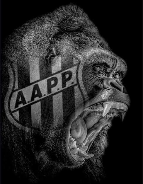 FelizardoGa's tweet photo. @ZambottiPedro Espero que tenho gostado amigão 👍🏼 https://t.co/HxRFWgVM4h