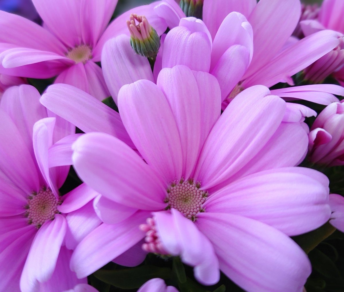 `

おげんきですか…

おげんきでいてください。

 #想い
 #感謝