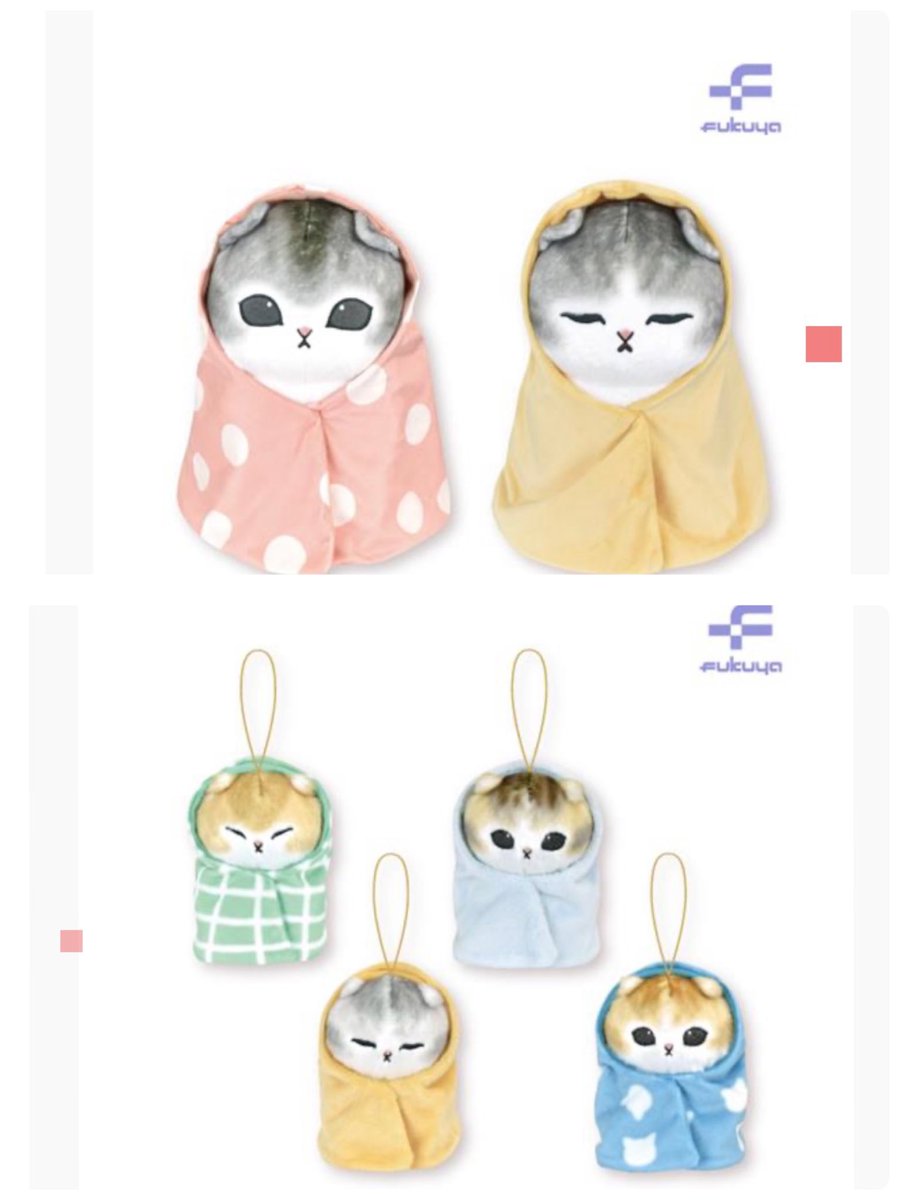 サメにゃん@SKY tweet media