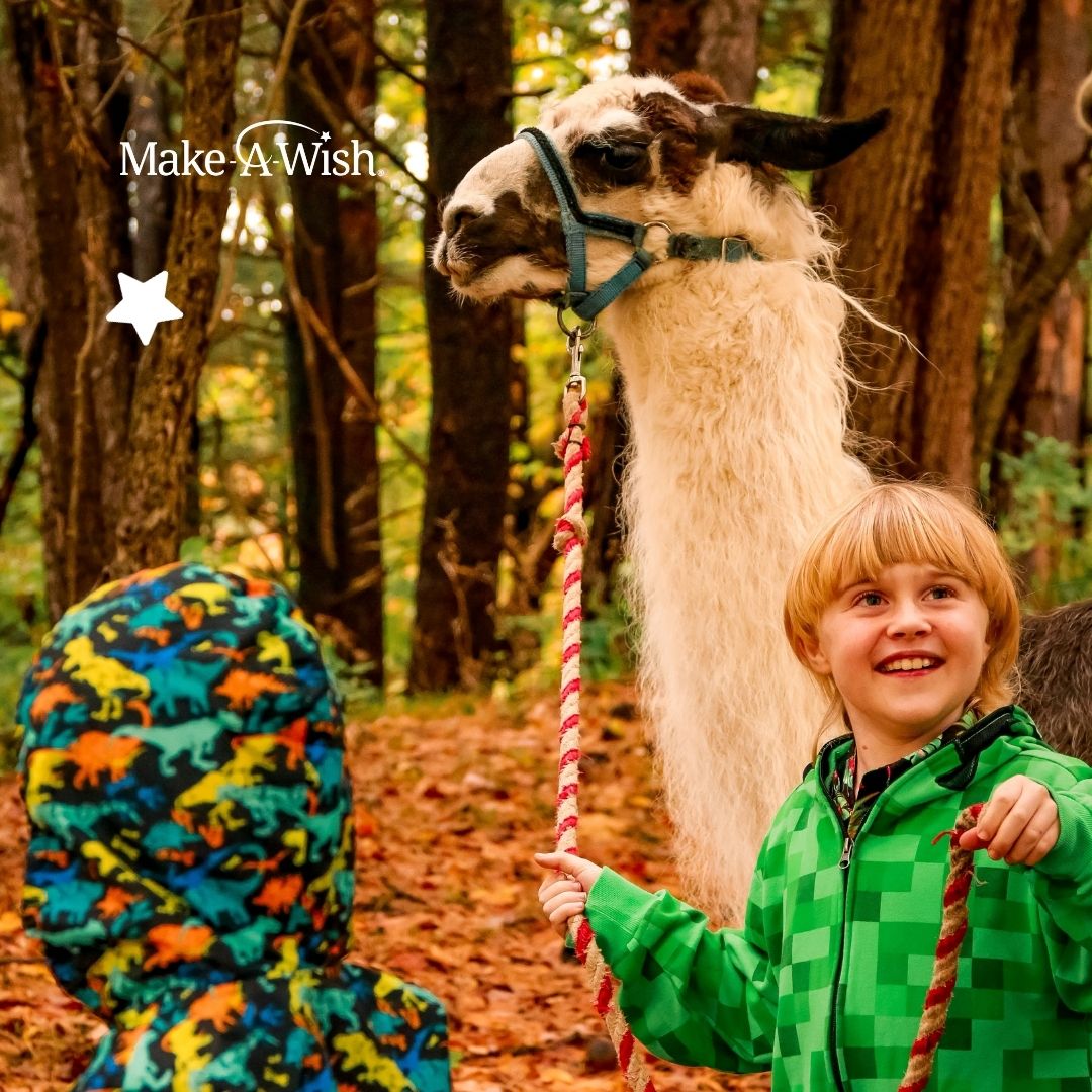 Make-A-Wish CA NV (@makeawishcanv) on Twitter photo Sebastian’s wish will warm your heart this #NationalLlamaDay. 🦙💙 “We will remember his wish day for a lifetime. It was a day he was completely free from all worry. He was just Sebastian, our animal-loving boy.” – Liz, Sebastian’s mom 🌟 <a href="/MakeAWish/">Make-A-Wish America</a> <a href="/MakeAWishMNY/">Make-A-Wish Metro NY</a> Sebastian’s wish will warm your heart this #NationalLlamaDay. 🦙💙 “We will remember his wish day for a lifetime. It was a day he was completely free from all worry. He was just Sebastian, our animal-loving boy.” – Liz, Sebastian’s mom 🌟 <a href="/MakeAWish/">Make-A-Wish America</a> <a href="/MakeAWishMNY/">Make-A-Wish Metro NY</a>