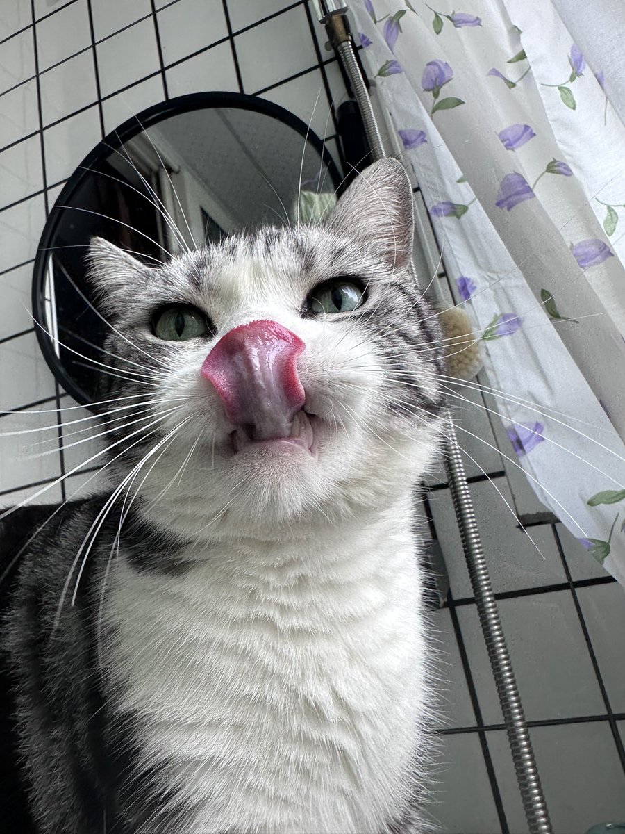 CodingXiaoShi's tweet image. 