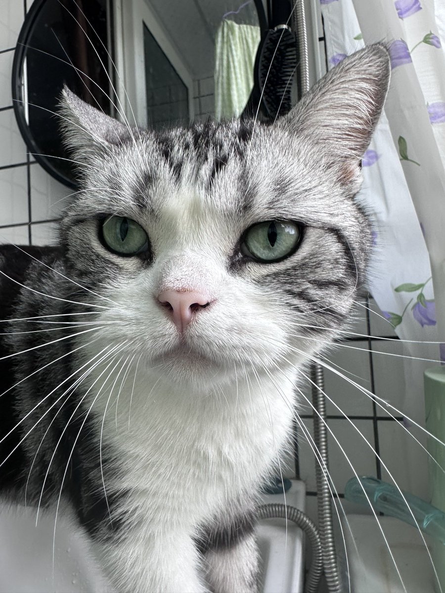 CodingXiaoShi's tweet image. 