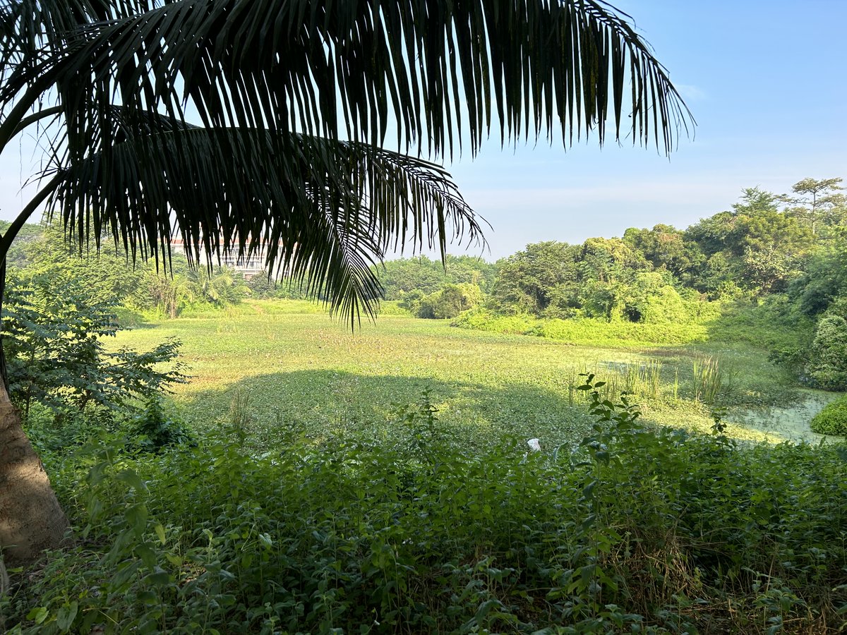 C Malla Reddy tweet media