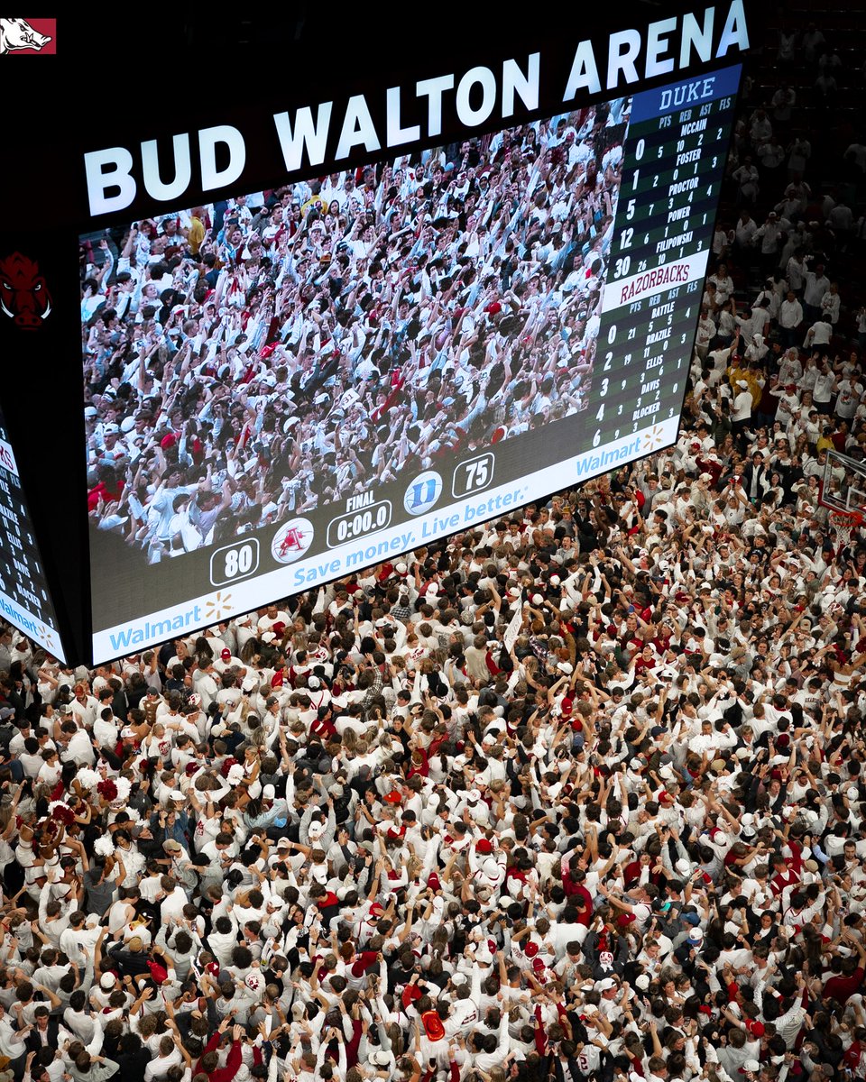 ArkRazorbacks's tweet photo. Absolutely electric night at the Basketball Palace of Mid-America. https://t.co/eYqKVlTvid