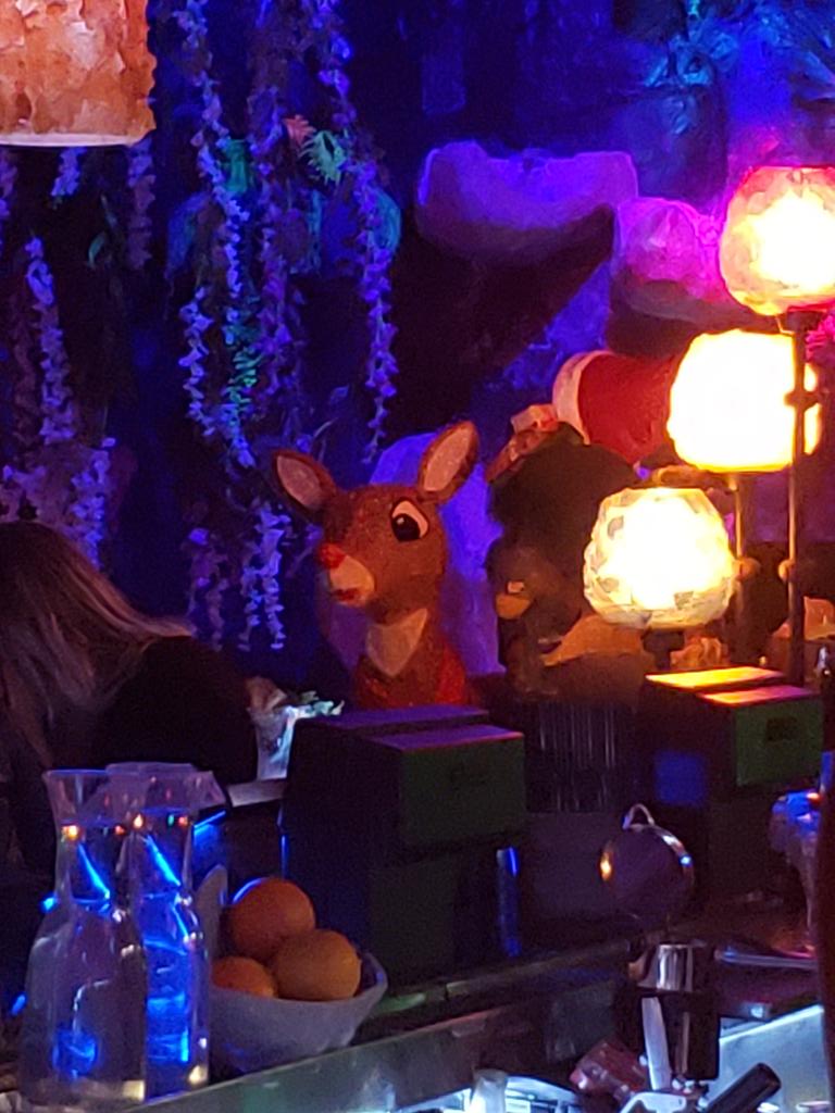 Rudolph chilling at a Tiki bar in Vegas.
