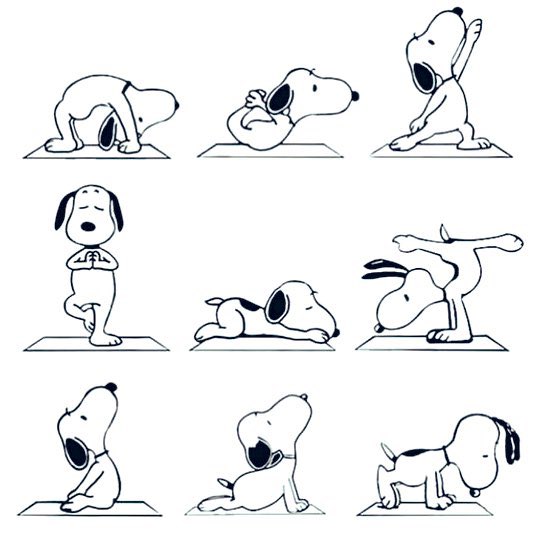chibas's tweet photo. A por el jueves, buenos días: https://t.co/rnLwUcsNDU