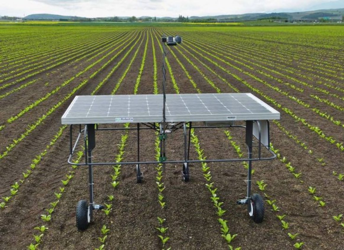 Agriculture will be the profession of intelligent people! 

Till now, there is a room for innovations and creativity in agriculture!