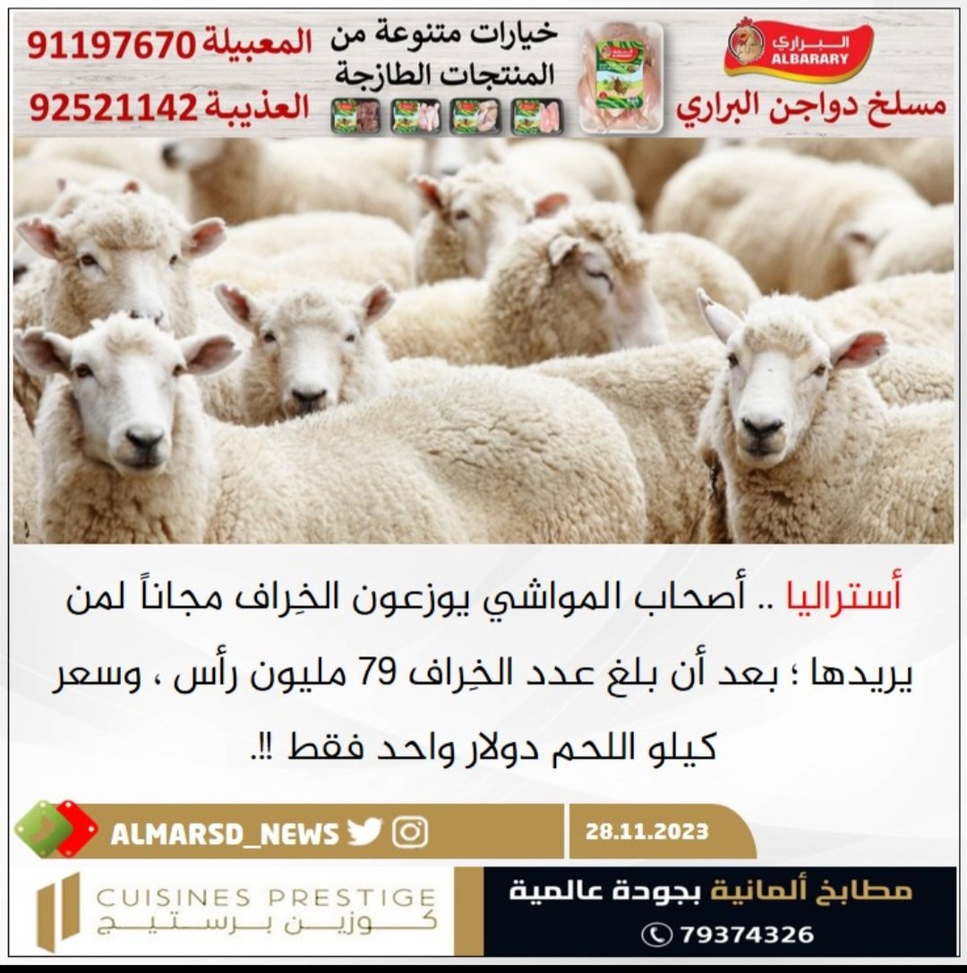 ومعنا الكيلو يصل إلى ٣ ريالات و٨٠٠ بيسه، وبعده ما متوفر طازج، اغلبه مستورد مجمد !!
ما السبب في رايكم ؟
هل الاحتكار ، أو بسبب وجود موردين همهم الربح المرتفع؟!
ام ان الأمر يتعلق بمصدر التوريد ؟
الله أعلم.