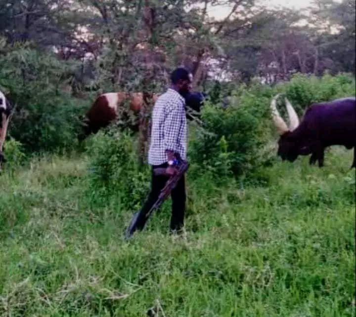 RUA (@riseupacholi) on Twitter photo Lweny puod tye kaka na. A modern day Mulalo on duty, they no longer use walking sticks, canes or pegs but guns while in Acholi land. Lweny puod tye lutua,
Courtesy: <a href="/JomeoRichard/">jomeo Richard</a>
#RiseUpAcholi Lweny puod tye kaka na. A modern day Mulalo on duty, they no longer use walking sticks, canes or pegs but guns while in Acholi land. Lweny puod tye lutua,
Courtesy: <a href="/JomeoRichard/">jomeo Richard</a>
#RiseUpAcholi
