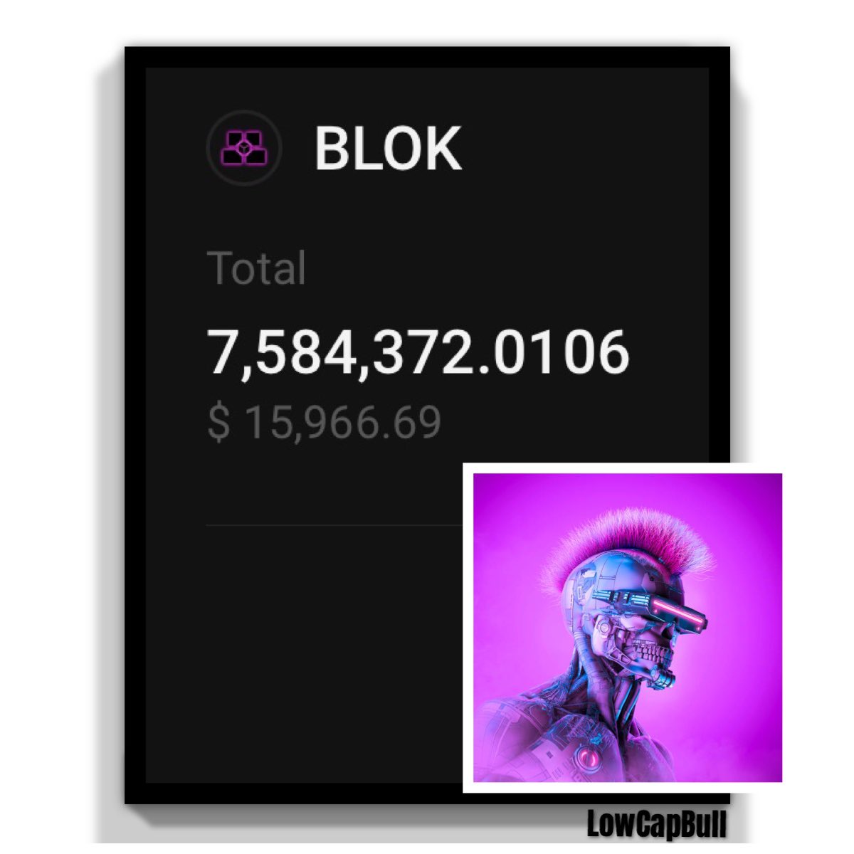 LowCapB's tweet photo. GM Friends 🧨

While $NAKA is fighting for that $2 mark and other Gems like $ZCX and $CSIX are battling to hit $0.10, i scanned the market for fresh finds.

𝗚𝘂𝗲𝘀𝘀 𝘄𝗵𝗮𝘁? 𝗜 𝗳𝗼𝘂𝗻𝗱 𝗮 𝗚𝗲𝗺 💎
We're talking about -> $BLOK

I know, it's not really a hidden Gem, especially in the Gaming Metaverse sector it is well known 

But i smell a significant potential for a massive surge in value for this Beauty.

Some of you may remember my @bloktopia days, I was part of the community from November 2021 until 2022 ☑️

In December 2022, I made a life-changing move by selling my 10 million bloks for 400,000 $NAKA. That decision led to over 30x Gains with $NAKA, while $BLOK hasn't even doubled since the bottom to date.

𝗕𝘂𝘁 𝗵𝗲𝗿𝗲'𝘀 𝘄𝗵𝘆 𝗜'𝗺 𝗯𝘂𝗹𝗹𝗶𝘀𝗵 𝗼𝗻 $BLOK 𝗮𝗴𝗮𝗶𝗻:

- Trading volume is on the rise
- Increased buying interest
- The team's Twitter activity is on fire

- I'm particularly excited about the @M3TACARD announcements and the Mastercard partnership to bridge the Gap between traditional card payments and #Web3 / Metaverse. A Top Team has been formed for this. Including former members of the Ex-#Binance Leadership, alongside prominent figures from renowned global enterprises, including Monzo, Revolut, eBay, eToro and Klarna 🏆

- Not to forget, 40% of the max supply has already been burned, with more burns in the pipeline 🔥

- Unlike other Gaming/Metaverse tokens, $BLOK hasn't seen a massive pump yet. Many similar tokens are up by at least 10x, while $BLOK remains -1.6% down since the beginning of 2023, according to Coingecko 📈

I firmly believe we're gearing up for a major metaverse AR run, and $BLOK is positioned as a significant player 👀

I just bought the retest of $BLOK at $0.0020 and secured over 7 Million pieces for a long-term hold. I plan to continue accumulating and Dollar-Cost Averaging until I secure 10 million $BLOK again 💰

My market scan and research led me back to $BLOK. I trust my instincts and research, and I'm thrilled to rejoin the community 🤝

This year might have been slow for us, but I sense the accumulation phase is wrapping up, and we're poised for substantial upside action 

Let's ride this wave Friends 🟢