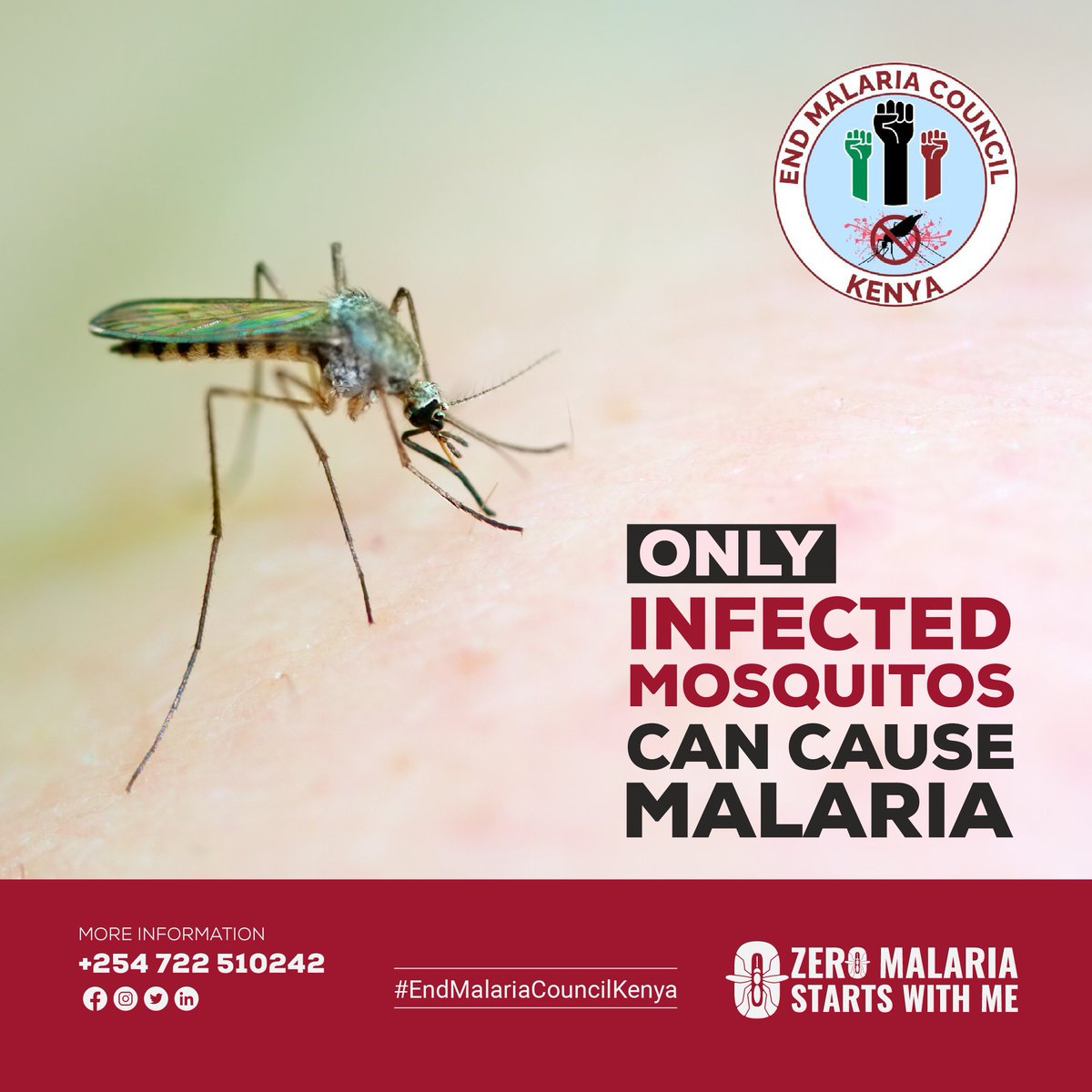 Ever wondered how mosquitoes become infected? Here's the scoop: The Anopheles mosquito bites an infected person, ingesting the malaria parasite, which can then be transmitted through bites. Stay informed and let’s work together to combat malaria. #ZeroMalariaStartsWithMe