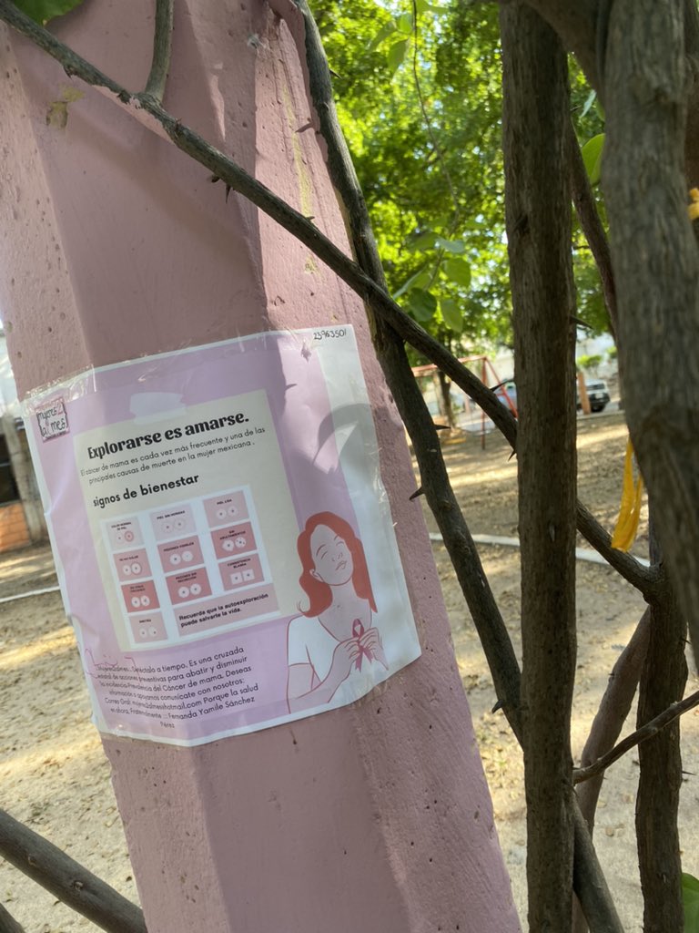 Fern3Snchezprez's tweet photo. Difusión de carteles, Culiacán Sinaloa.
@medicosconcausa @mujeres2almes @medicosconcausa https://t.co/VcUC4oSmBF