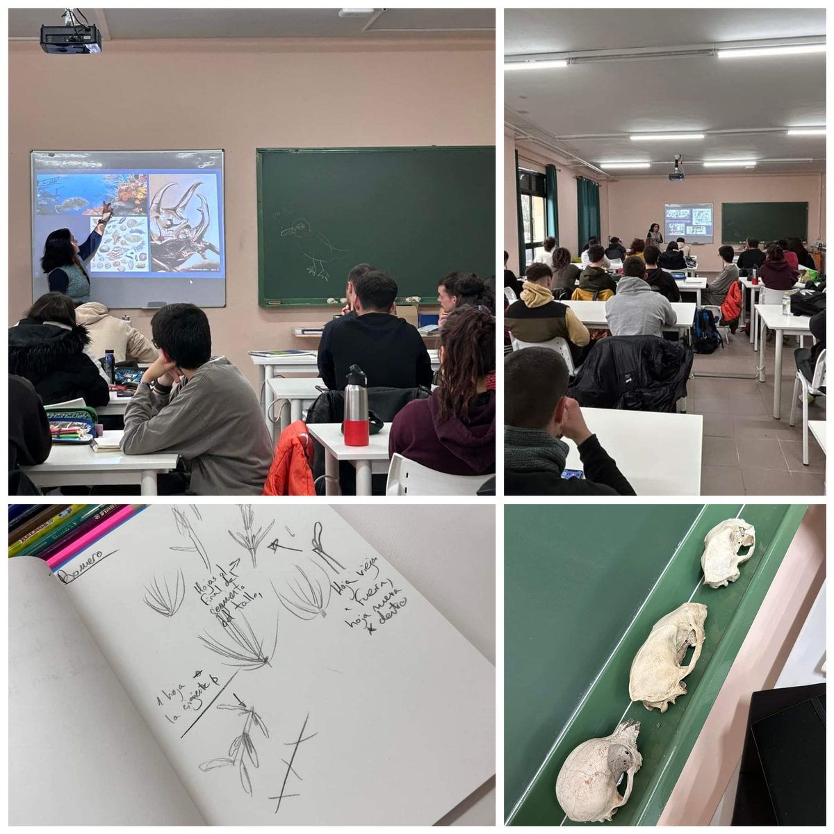 Taller de ilustración científica para nuestro alumnado de los Grados Superiores de Forestales y Educación ambiental.