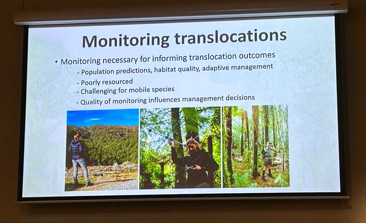 Birds New Zealand (@osnzbirdsnz) on Twitter photo Post-release monitoring of translocations is important to understand outcomes, and adapt for improved future outcomes. But often projects see the translocation as the final step, says @ZoeStoneNZ. #AOC2023 Post-release monitoring of translocations is important to understand outcomes, and adapt for improved future outcomes. But often projects see the translocation as the final step, says @ZoeStoneNZ. #AOC2023