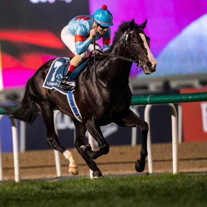 At The Races tweet media