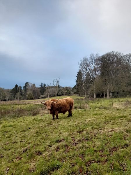 Edinburgh & Lothians Greenspace Trust tweet media