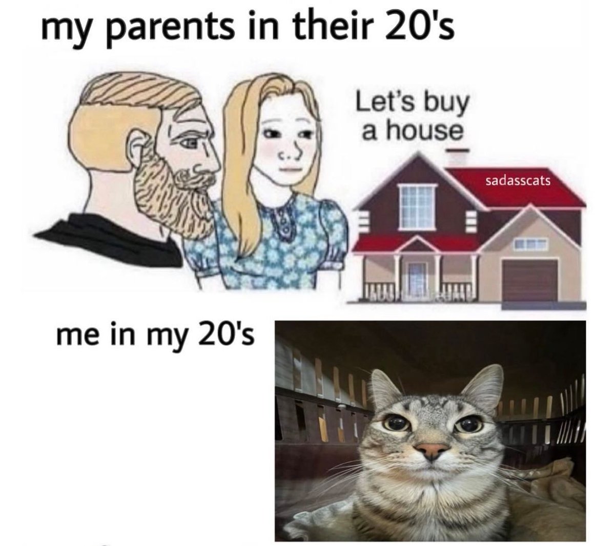 Posts Of Cats tweet media