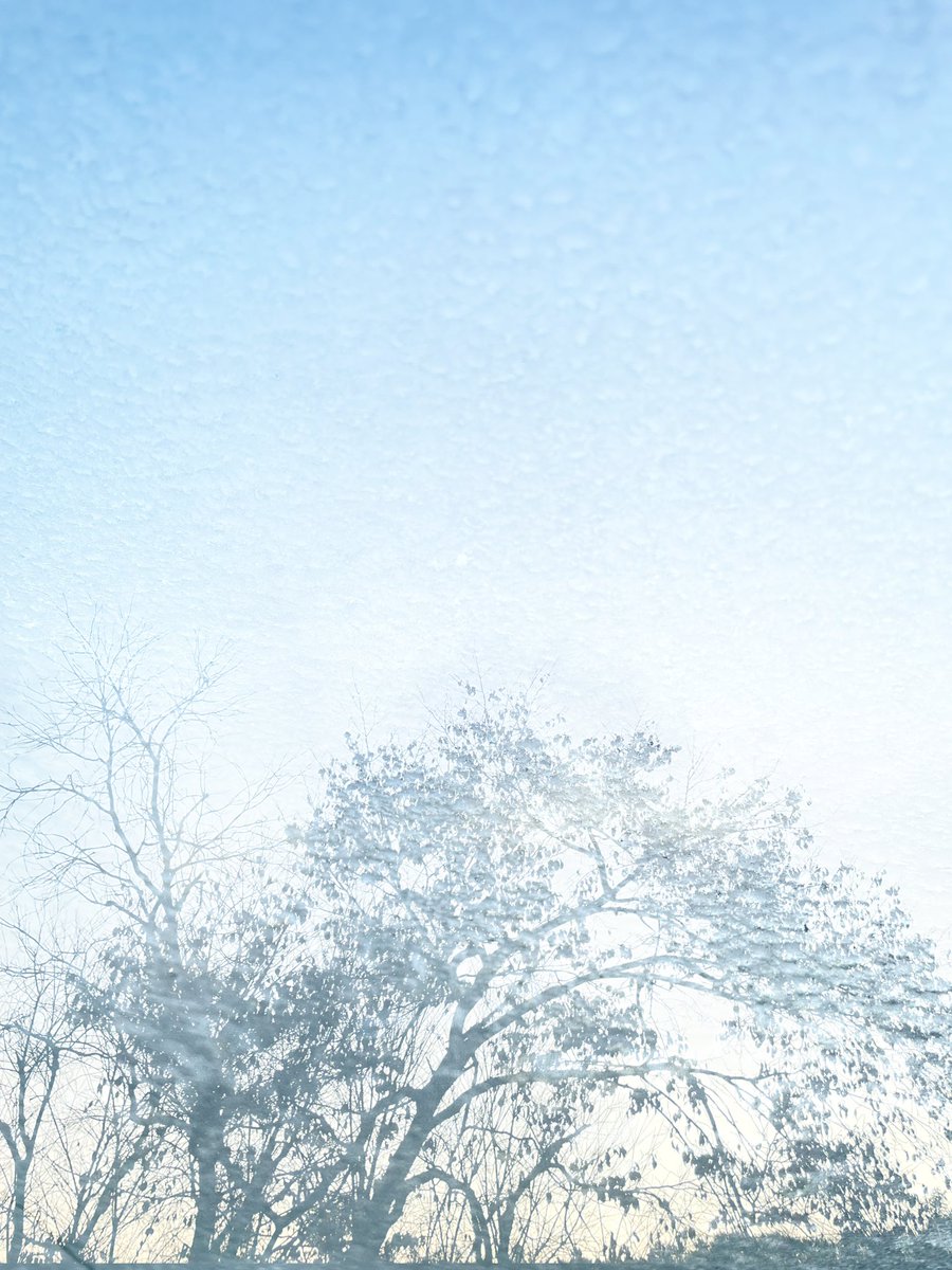 無口な
秘密の本質と
答えようのない
饒舌な意味と
逍遙の夕
空はただ
空っぽのままだから
想いは募ったりしないが
十一月の　ひとりの　宵の　君の
うたが欲しい
かすかな願いを溶いた色彩と
明日へ繋がる残響を
五線譜に弾いた君の
はじまりと終わりを
ほどけぬ輪に閉じ込めた
あのうたを