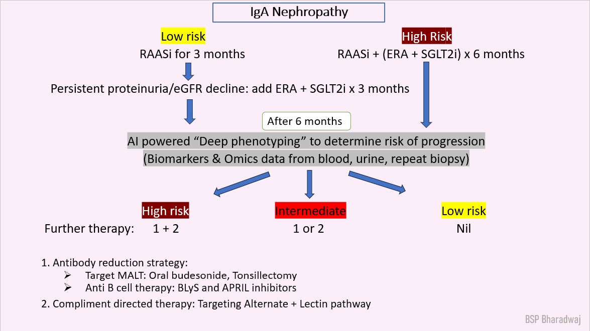 PhaneeshBBS's tweet image. My prediction of future - Precision medicine in management of IgA nephropathy.
Any comments?