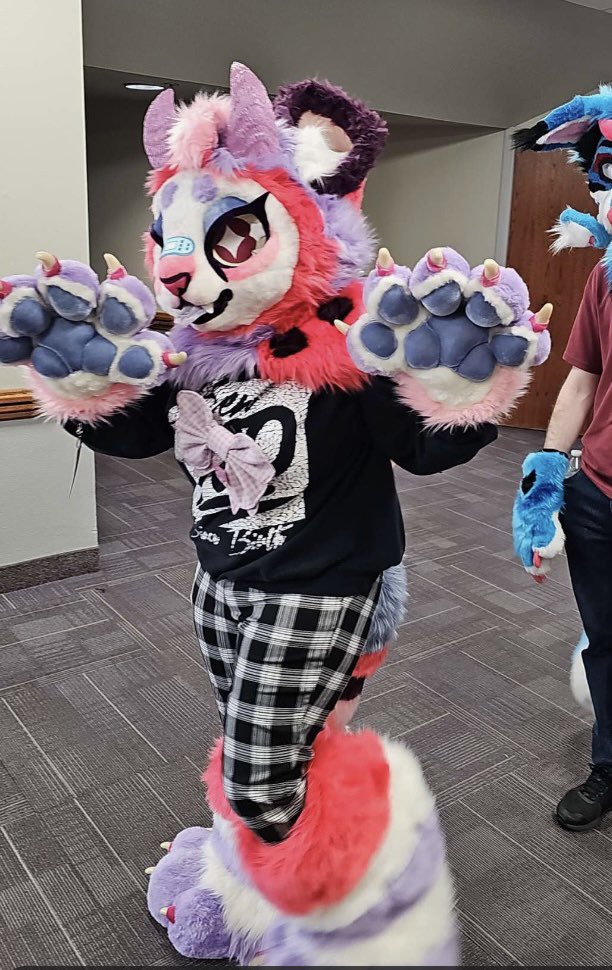snowsweptjay's tweet photo. #partialsuiter let’s goooo https://t.co/YVkRzWKQOn