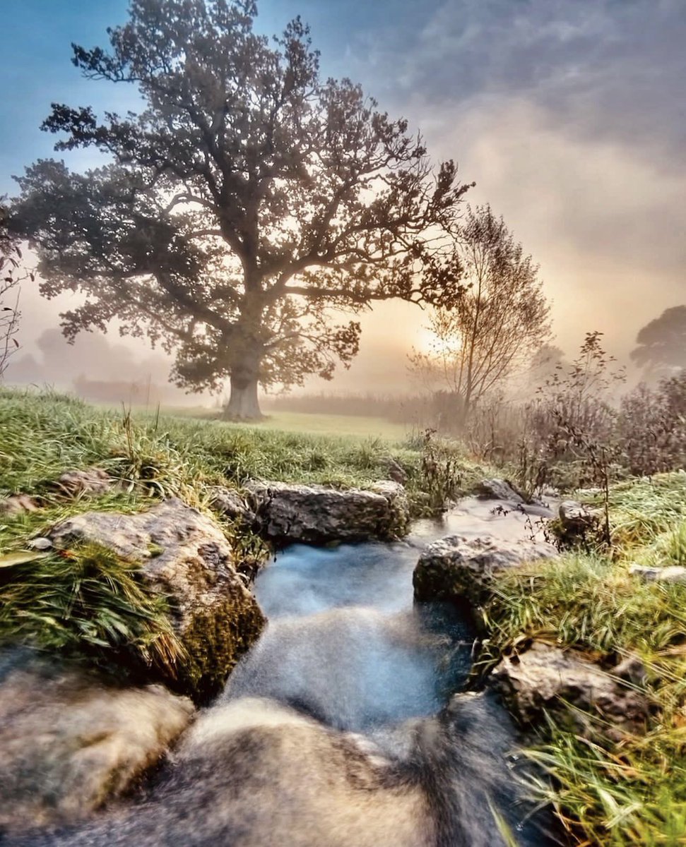 A beautiful #Somerset winter scene to start the day, taken by Rachel Clark. A gorgeous Frome walk and a stunning shot 😍 #pictureoftheweek