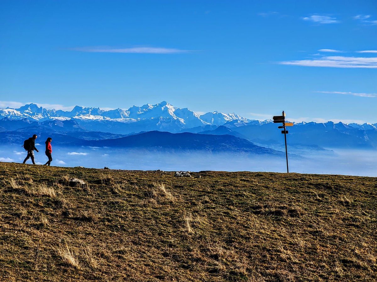 wholeexplorers's tweet photo. When you walk, arrive with every step. That is walking #meditation. There’s nothing else to it.
-#ThichNhatHanh
#advaita #spirituality #philosophy #consciousness #easternperspective #vedanta #soulfulness #hiking #mentalfitness https://t.co/vl7DtWg6hs