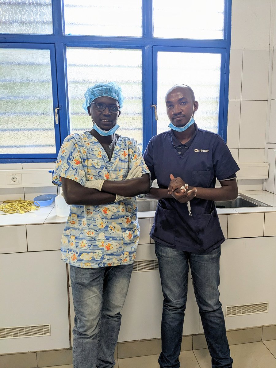TuyishimeEmman's tweet photo. Just had the most amazing practical session at New Vision Veterinary Hospital. Got hands-on experience with surgical operations, ultrasound and radiography. Feeling grateful for the opportunity to learn and grow as a vet student.A hand of applause to @NtaChristophe90 @DrEric_Vet https://t.co/4MLoikrJWb