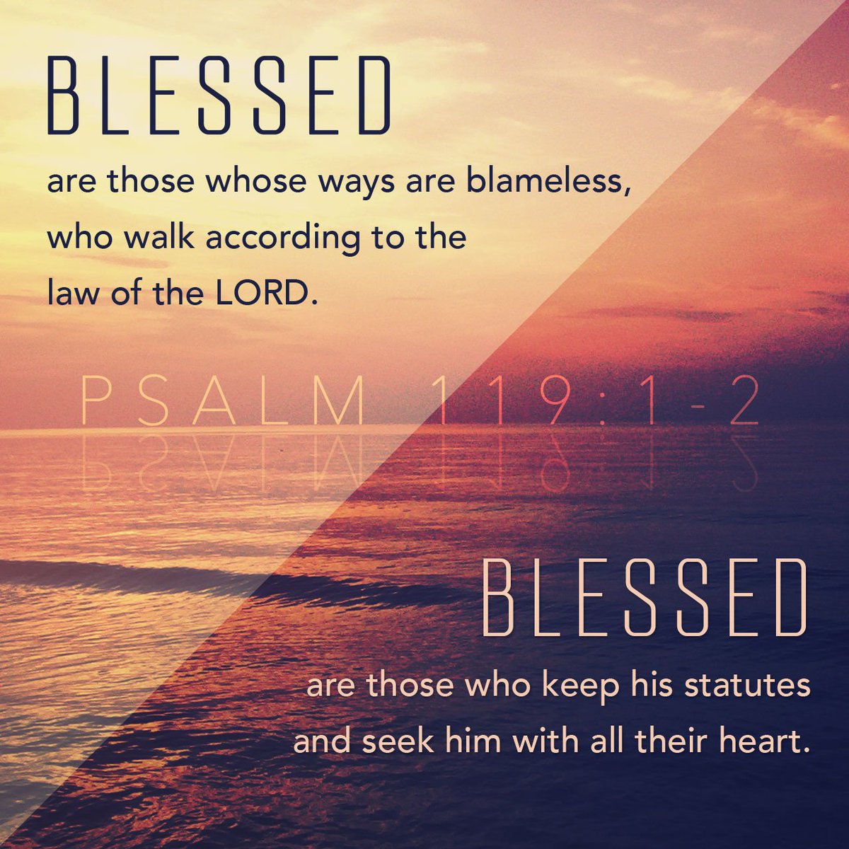 Blessed are those whose way is blameless, who walk in the law of the Lord! Blessed are those who keep his testimonies, who seek him with their whole heart,
Psalm 119:1-2 ESV

Amen to that 📖 🙏 

bible.com/verse-of-the-d…